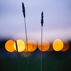 وَجَاءَ مِنْ أَقْصَى الْمَدِينَةِ رَجُلٌ يَسْعَىٰ الطالب الشيخ محمد أحمد حسن- رمضان ١٤٤٦