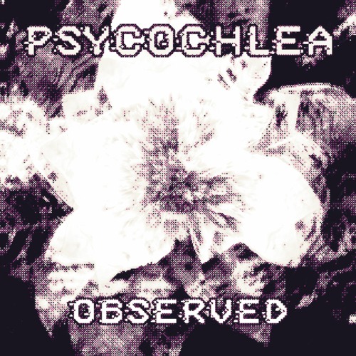 Observed (Unsignable Release)