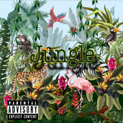 jungle feat.jack9,buddy, shadybear
