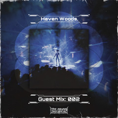 Guest Mix 002: Haven Woods.