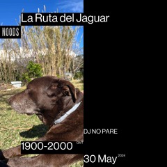 La Ruta del Jaguar x Noods Radio