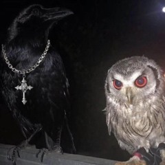 netherland kayzi x dummkid x jugo.m4a