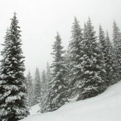 Spidywebmen - Winter (Prod by me) 28.11.22