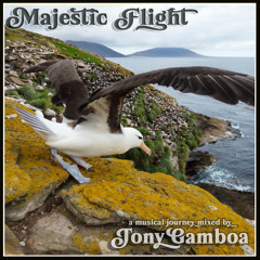 Majestic Flight