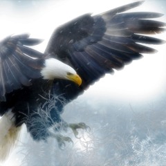 Eagle 2024