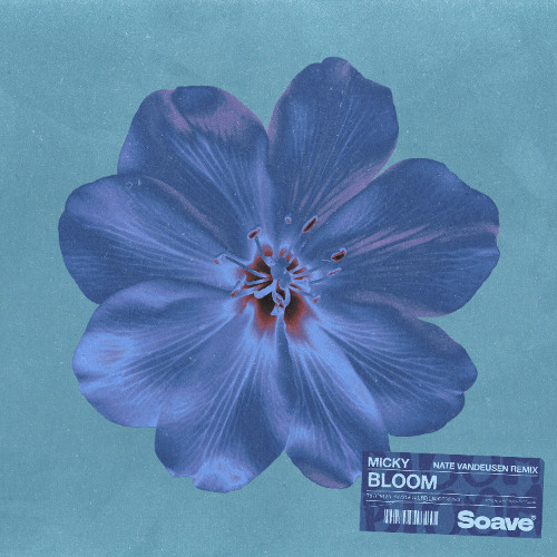 Micky & Nate VanDeusen - Bloom