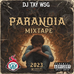 DJ TAY WSG - PARANOIA DANCEHALL MIXTAPE 2023