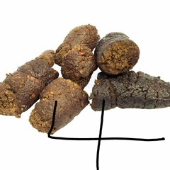 Pooptime 4  (prod.level)