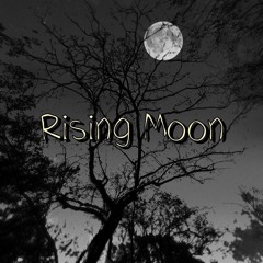 Rising Moon