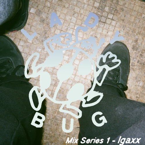 Ladybug Mix Series 1 - Igaxx
