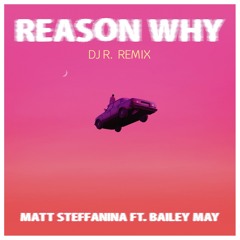 Matt Steffanina feat. Bailey May - Reason Why (DJ R. Remix)
