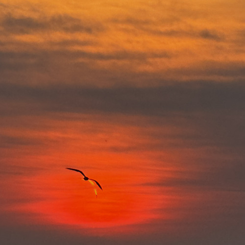 R&B Caribbean Vides DJ Mix (Ti.Sergo Mix)