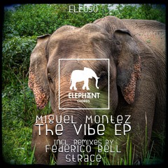 PREMIERE: Miguel Montez - The Vibe (Original Mix) [Elephant Chords]