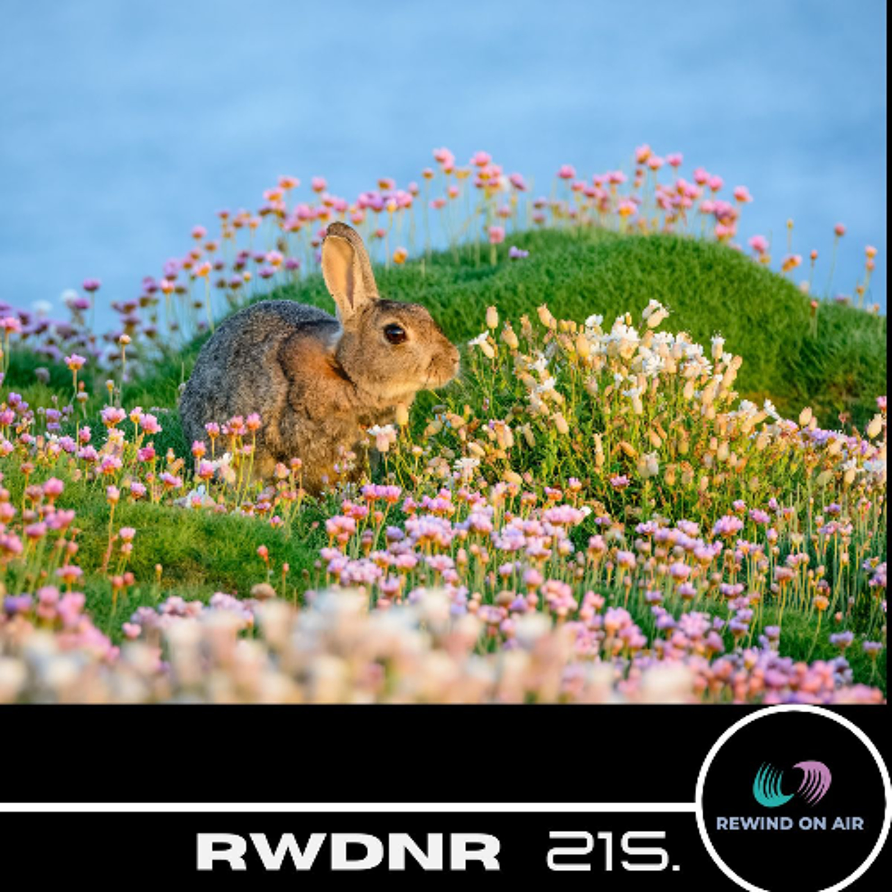 ROBERT SIMON - REWIND ON AIR RADIOSHOW 216. episode artwork