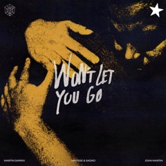 Martin Garrix - Won't Let You Go (Nalestar Remix)