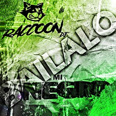 💯💊🕺🏾Bailalo Mi Negro🕺🏾💊💯 ✘ RACCOON DJ