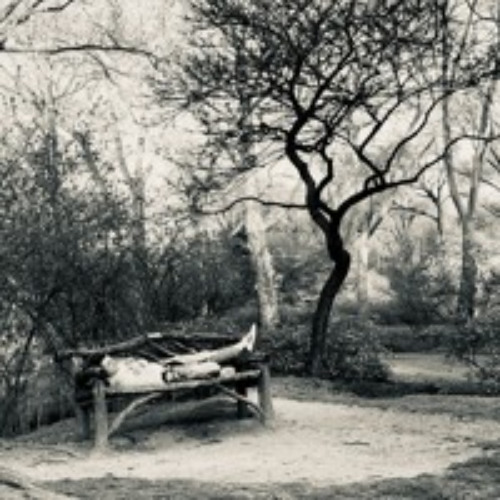 findingthewords