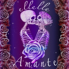 AMANTE