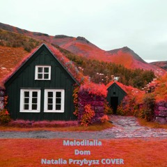DOM - Ambient Version (Natalia Przybysz Cover)