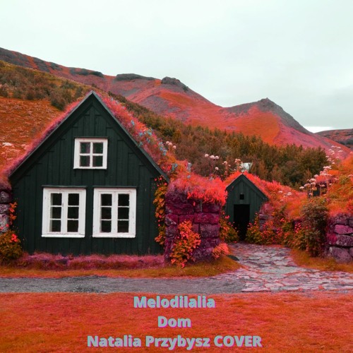 DOM - Ambient Version (Natalia Przybysz Cover)