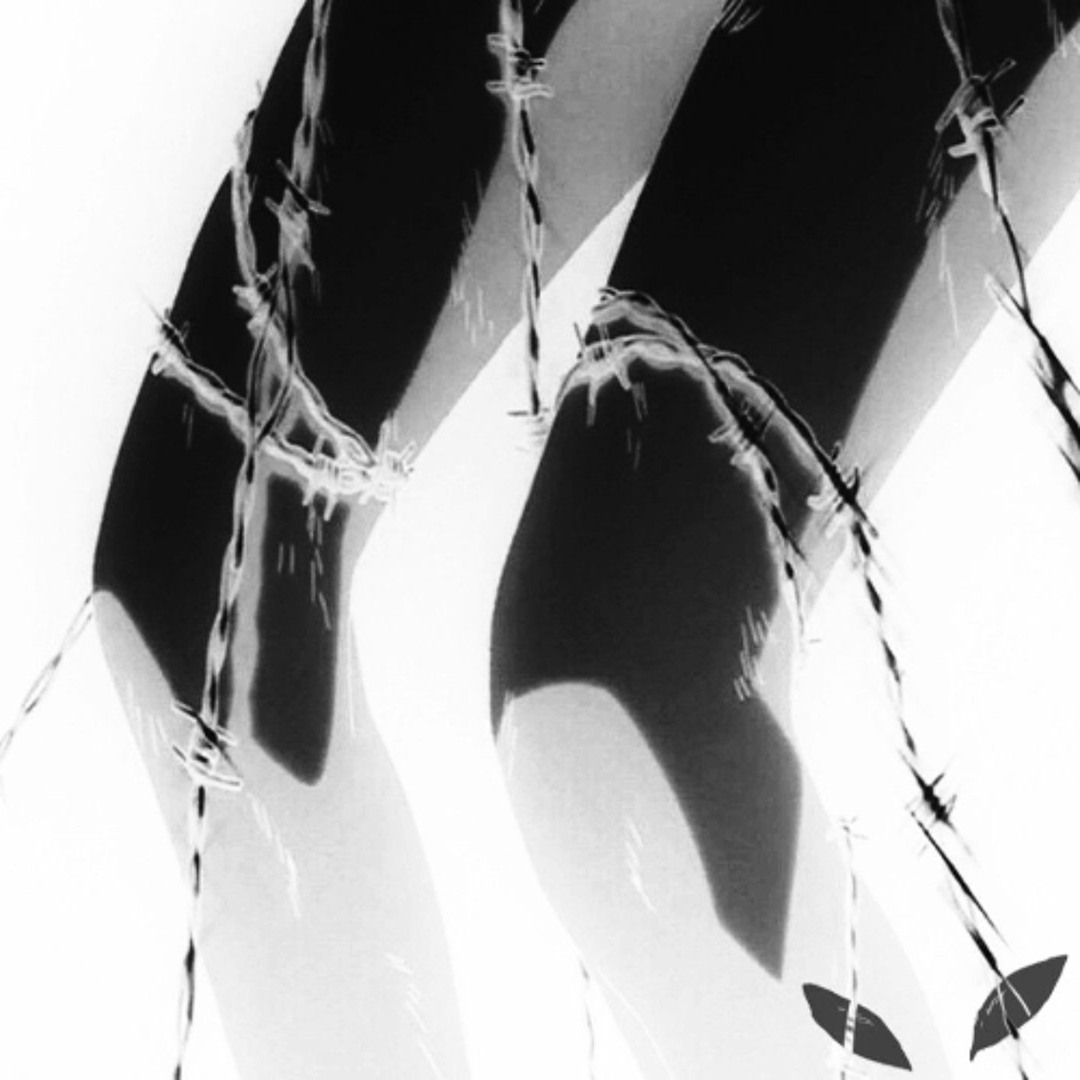 untitled（2025） Stream zxcursed - untitled (16.10.2025) by blade of t3ars | Listen