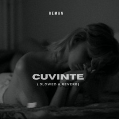ReMan - Cuvinte (Slowed & Reverb)