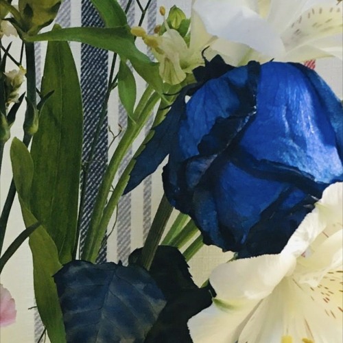 ファーストデート