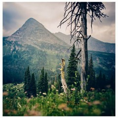 SCY - Core Core (Intro Looped)