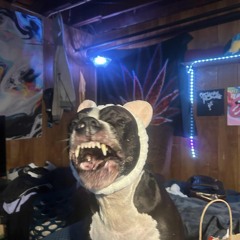 FRANKLIN