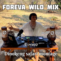 Foreva wild mix | Dinokeng safari montage