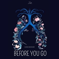 Lewis Capaldi - Before You Go ( Slowed and Reverb )