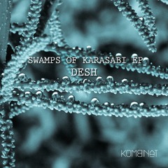 Premiere: Desh "Swamps Of Karasabi" - Kombinat