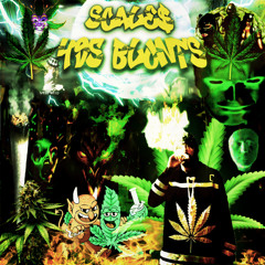 495 BLUNTS