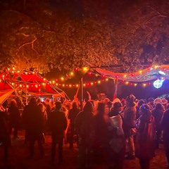 Dr. D - Inclucidity Stage - Friday 1:30pm-3pm