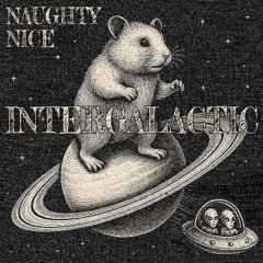Beastie Boys - Intergalactic (Naughty Nice Remix)