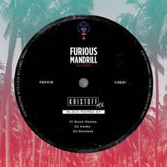 Black Mamba (Original Mix) [Furious Mandrill]