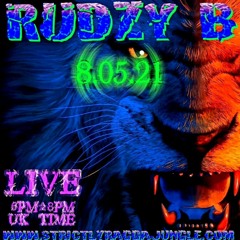 RAGGA JUNGLE DRUM AND BASS MIX 2021 (REGGAE DNB) LIVE www.strictlyraggajungle.com - 8.05.21