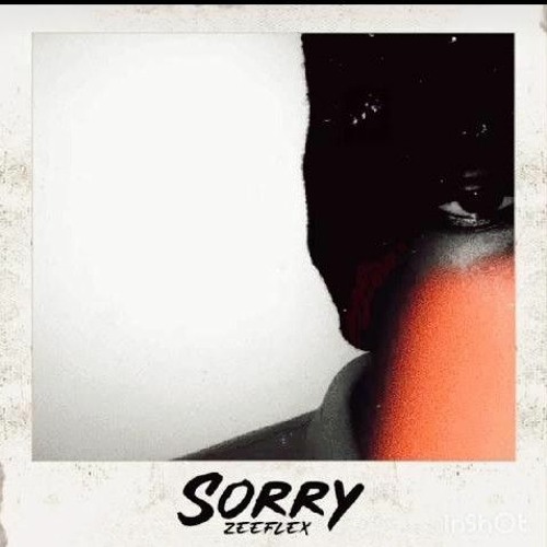 zee flex - sorry.master (SPLASH).mp3