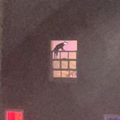 wicca phase Rest (cover) demo