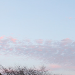 signals (soundscape)