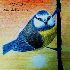 le silence rassérénant de l'aube, simplement ponctué par divers chants d'oiseaux - juin 2025