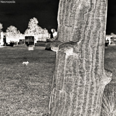 Necropolis