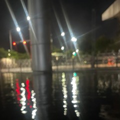 LEON (딥상어) - LOFI