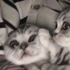 ♩