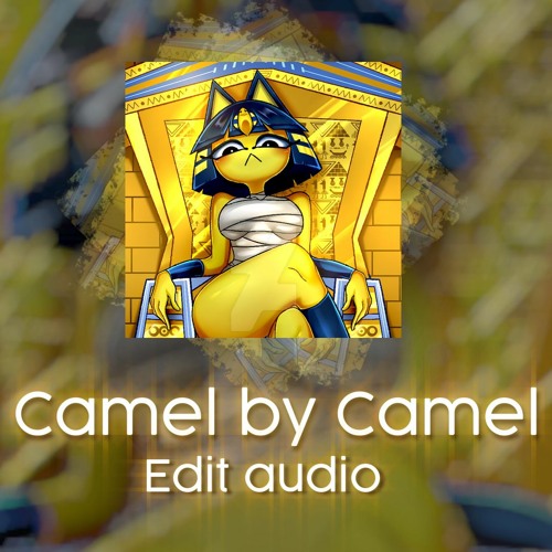 Camel by Camel