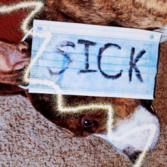 SICK! (Feat. K. Delinquent) [Prod. Uncle Carlo]