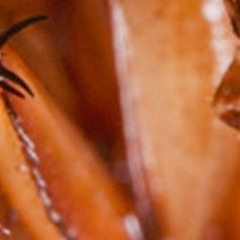 TwistedMetalCalpyso-Oculus🤮🤮