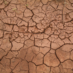 Mud Ugly