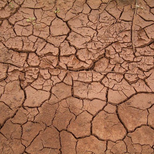 Mud Ugly