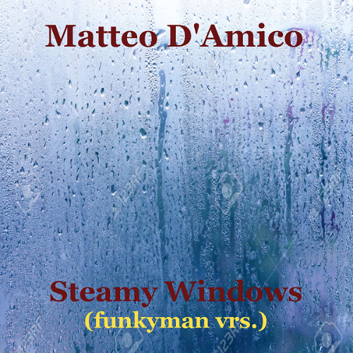 Matteo D'Amico - Steamy Windows - preview